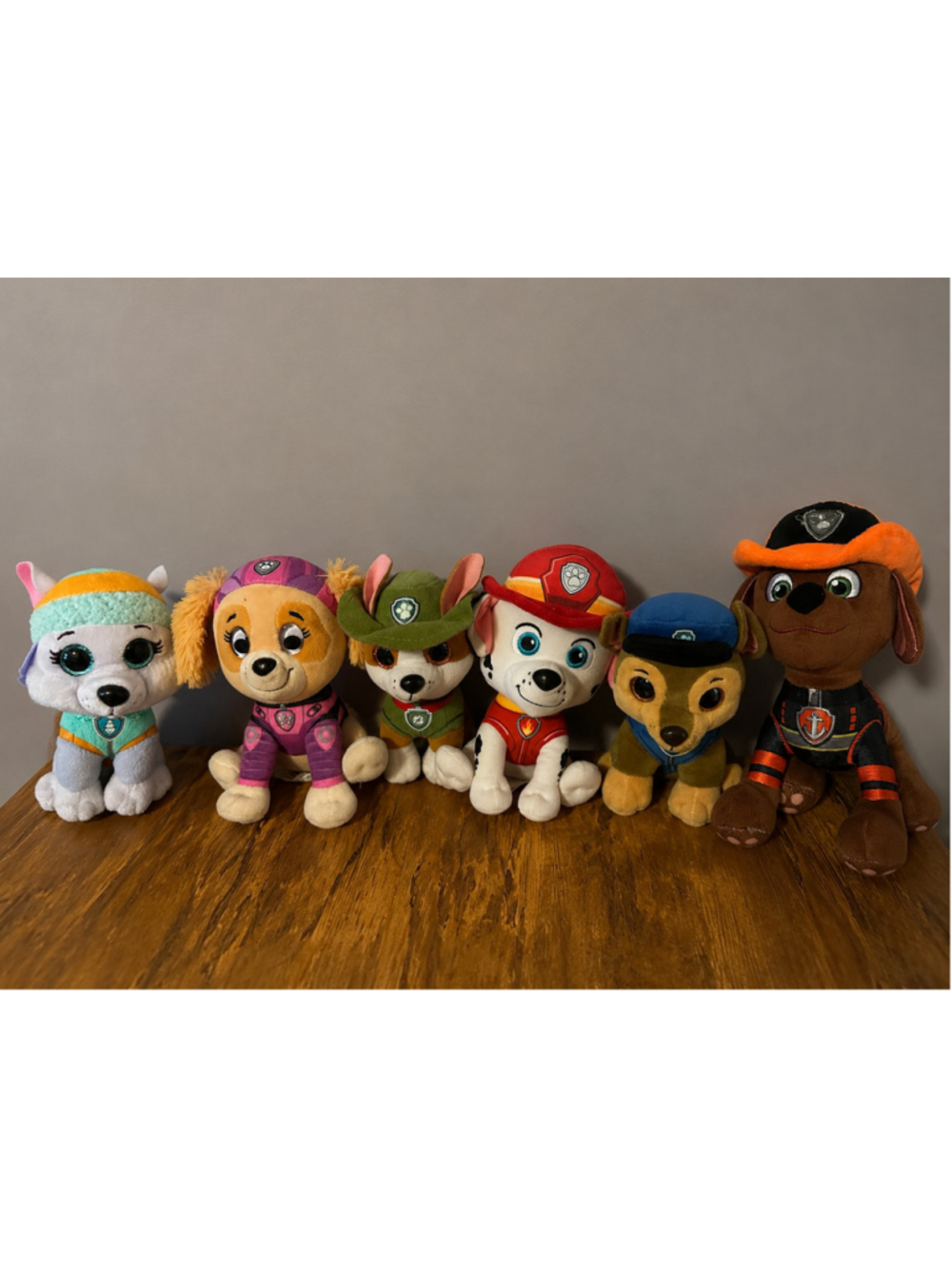 Paw Patrol Plush Set 6 Skye Chase Marshall Zuma Tracker Everest Ty Lot